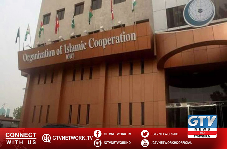 OIC unanimously adopted Kashmir resolution a triumph of Pakistan: FM