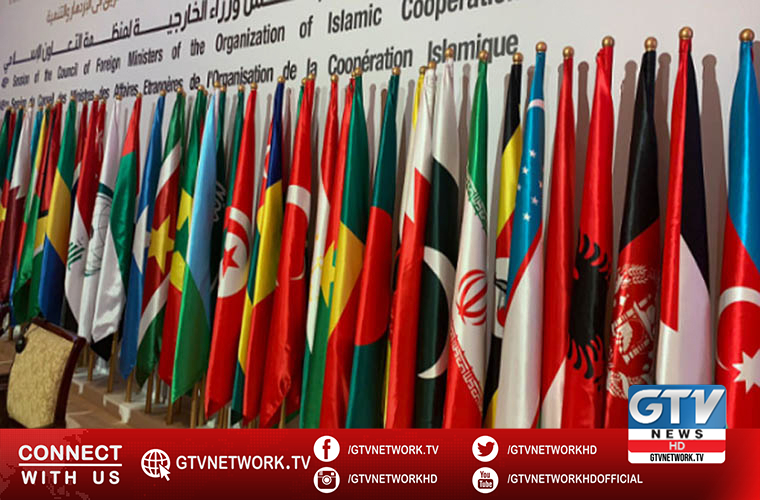 OIC Council of Foreign Ministers 47th Session begins in Niger