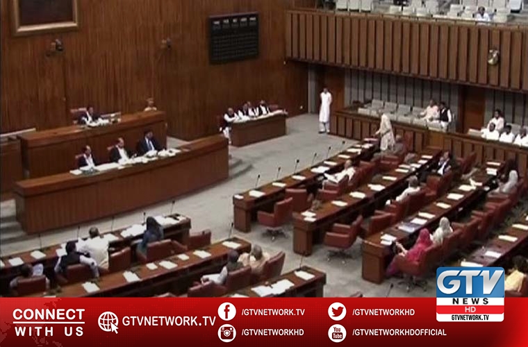 Minister for Climate Change briefs Senate on 185 industrial units in Islamabad