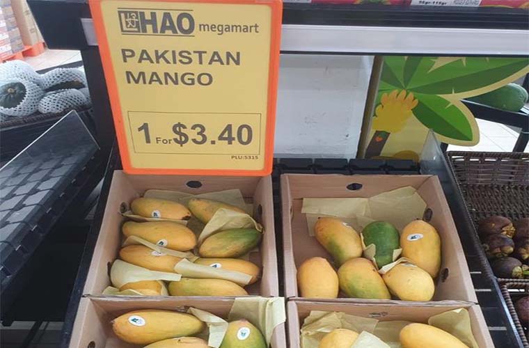 FO rejects factually incorrect reports about Pakistani mangoes gift to foreign dignitaries