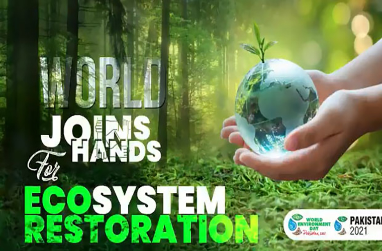 Pakistan hosts World Environment Day with UN Environment Programme