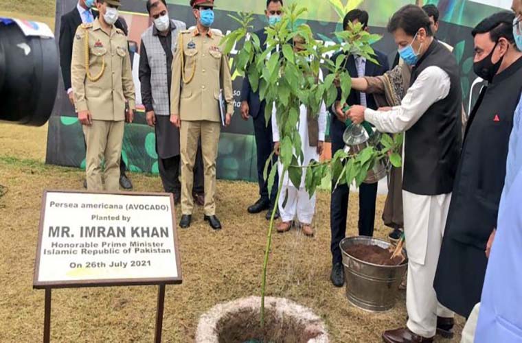 Countrywide monsoon tree plantation drive launched