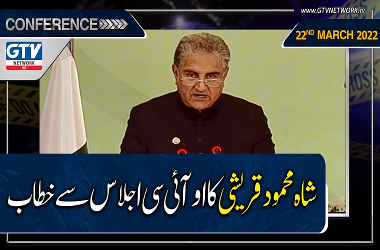 OIC to take concrete steps to solve Kashmir, Palestine issues: FM Qureshi