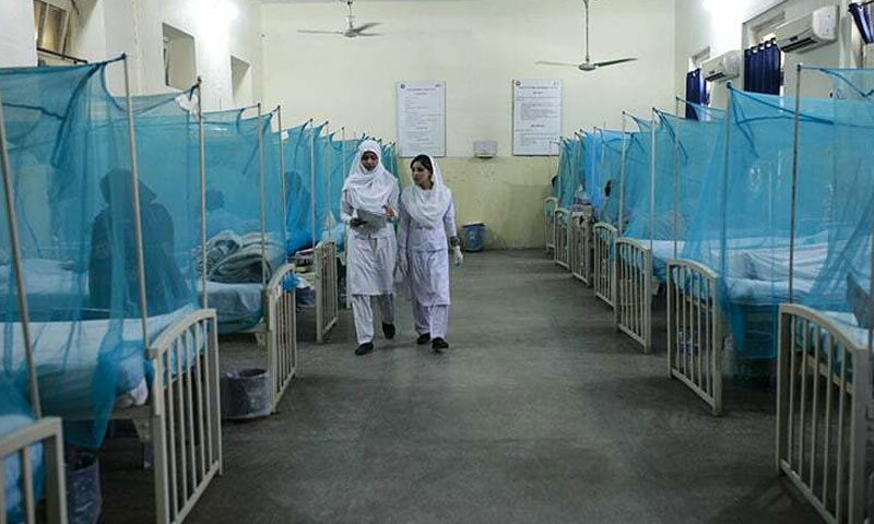 Dengue virus getting worse in Karachi