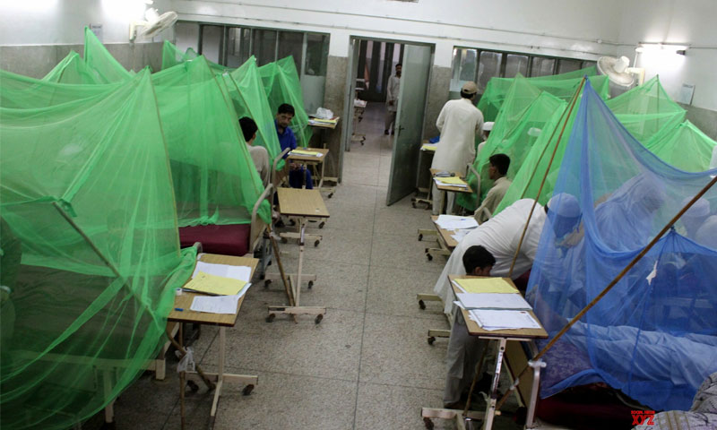 200 cases of dengue virus reported daily in Sindh: HM