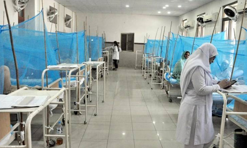 Islamabad: 194 new cases of dengue reported