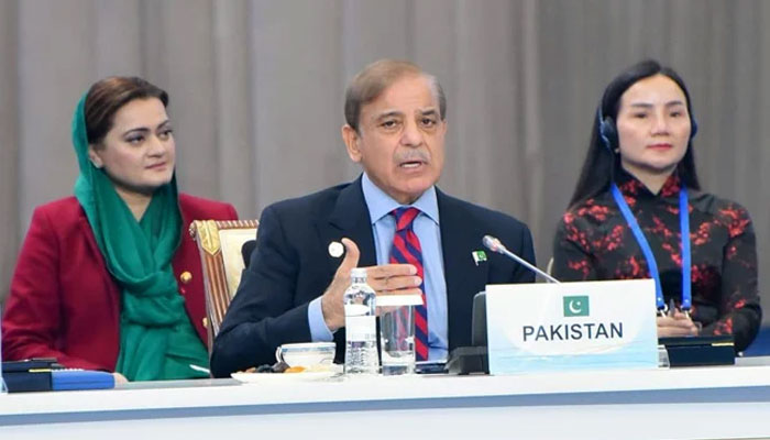 PM addresses CICA 6th Summit in Astana