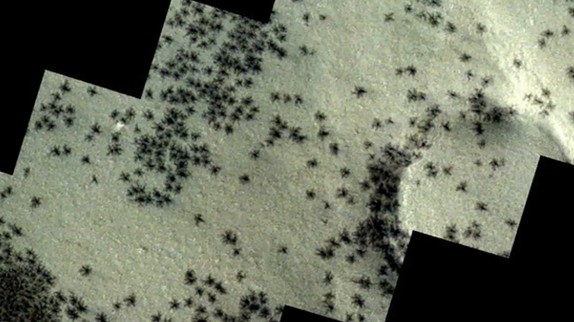 Spiders spotted on Mars in new photos