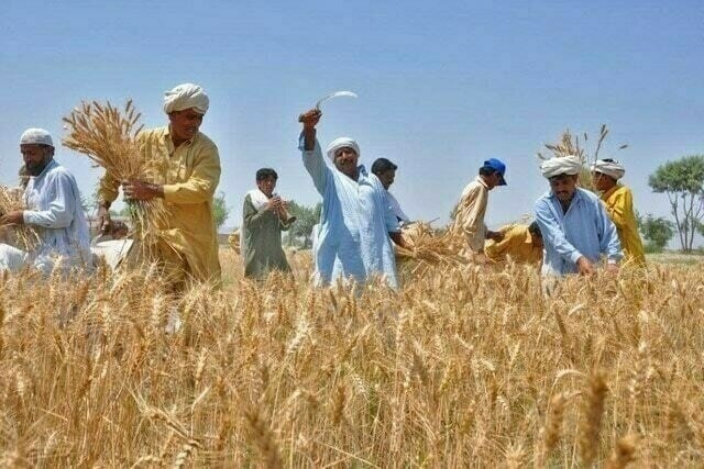 Sit-ins planned for 30th to back Pakistan farmers