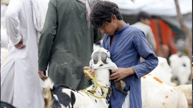 Five-day holiday on cards for Eid al-Adha