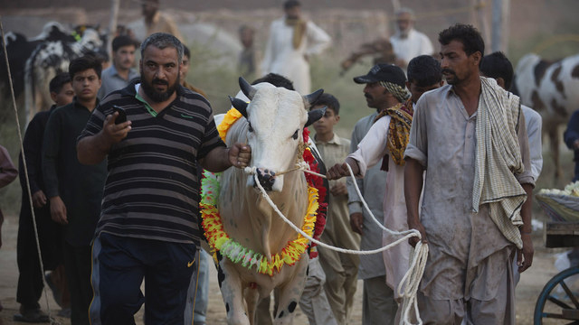 When Pakistan will celebrate Eid-al-Adha?