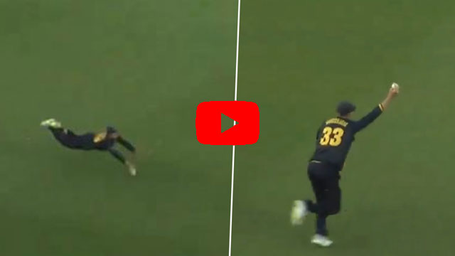Watch: Marnus Labuschagne takes stunning one-handed catch