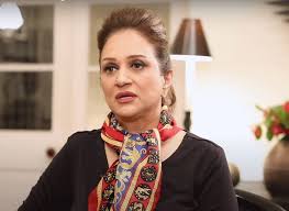 Bushra Ansari advises citizens not to buy national flags on August 14