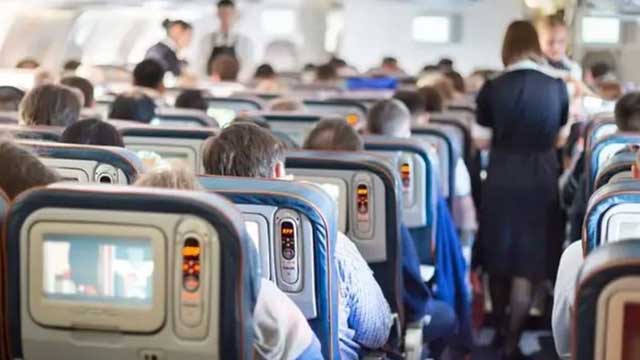 Lice in woman’s hair push plane to make emergency landing