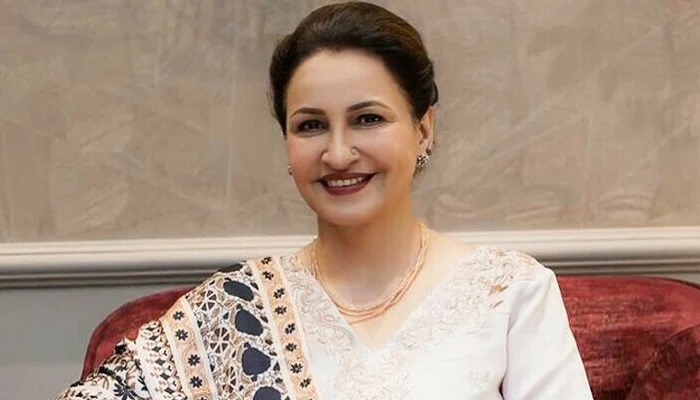 Saba Faisal says she wasn’t ready to become mother-in-law