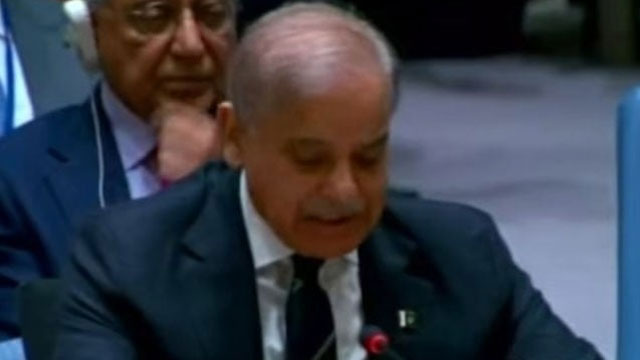 Pakistan urges UNSC to slap sanctions on Israel over Gaza genocide