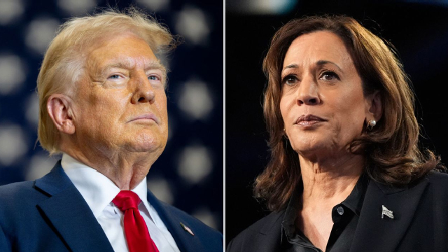 Trump or Harris: Historian makes bold prediction about US presidential elections