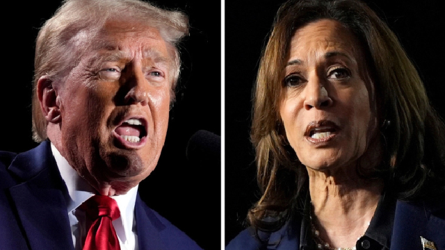 80pc Muslims voted for Trump, 78pc Jews voted for Kamala Harris: US think tank