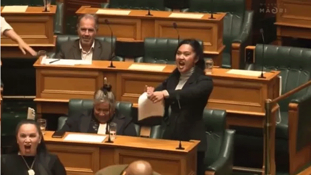 WATCH: Woman New Zealand parliamentarian dances to record protest
