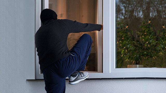 Pakistan’s famous model, beautician’s house robbed in US