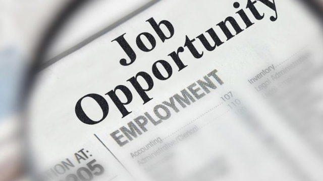 Fed govt announces new jobs, here is how you can apply