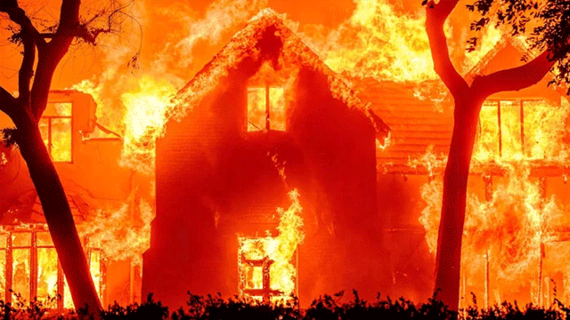 We need mercy from nature, says California fire dept official as LA winds intensify blaze