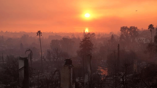 ‘War-like situation in Los Angeles’: Hollywood Hills on fire; curfew imposed amid looting