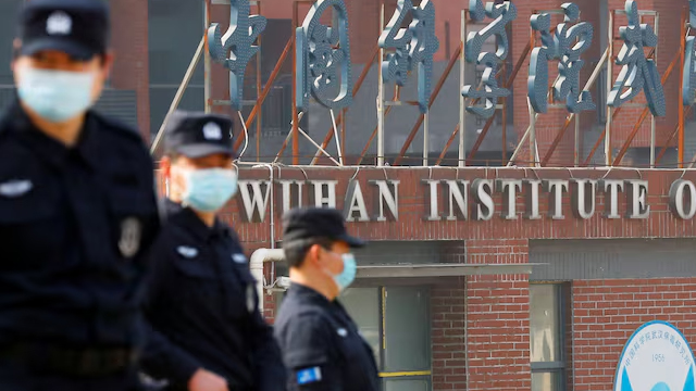 Chinese scientists discover new bat coronavirus