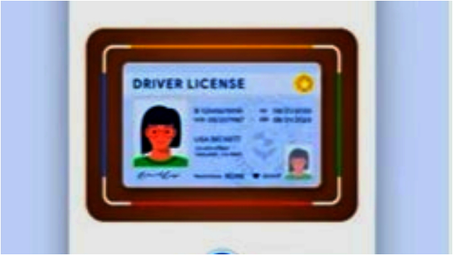 How to Add Your Driving License to Google Wallet – Easy Guide