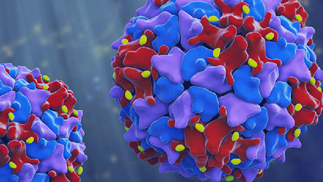 Polio virus detected in sewage lines of Pakistan provinces