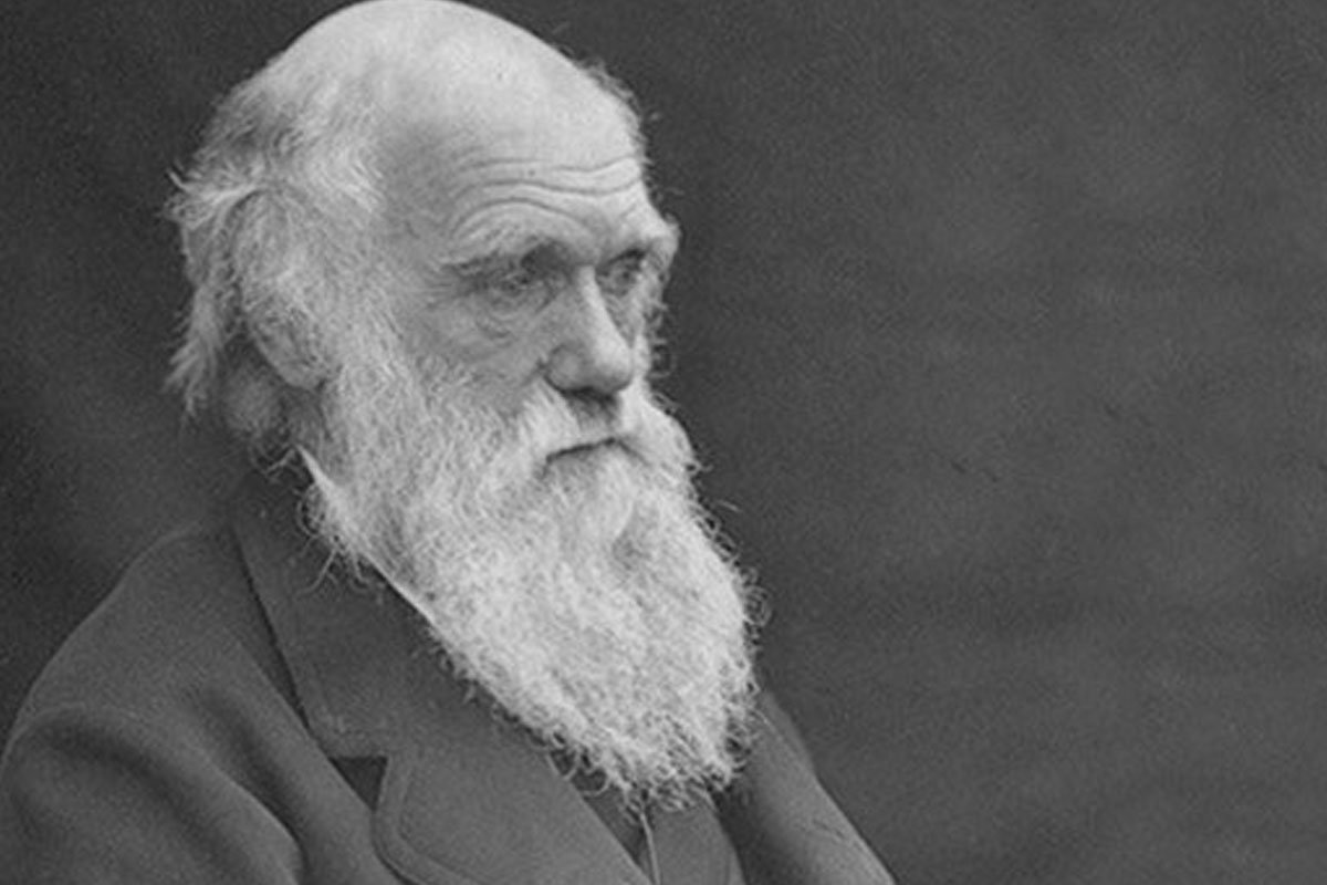 Who is Charles Darwin? Biography, Books & Wiki
