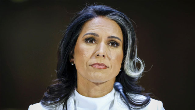Who is Tulsi Gabbard? Biography, Age & Net Worth