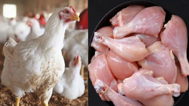 Chicken prices soar in Karachi – Check latest rates today