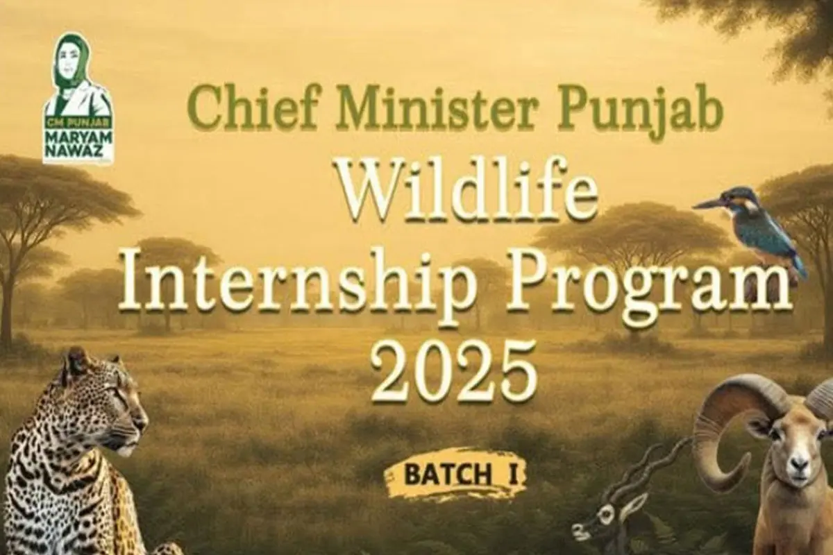 CM Punjab Wildlife Internship 2025 – Check application process