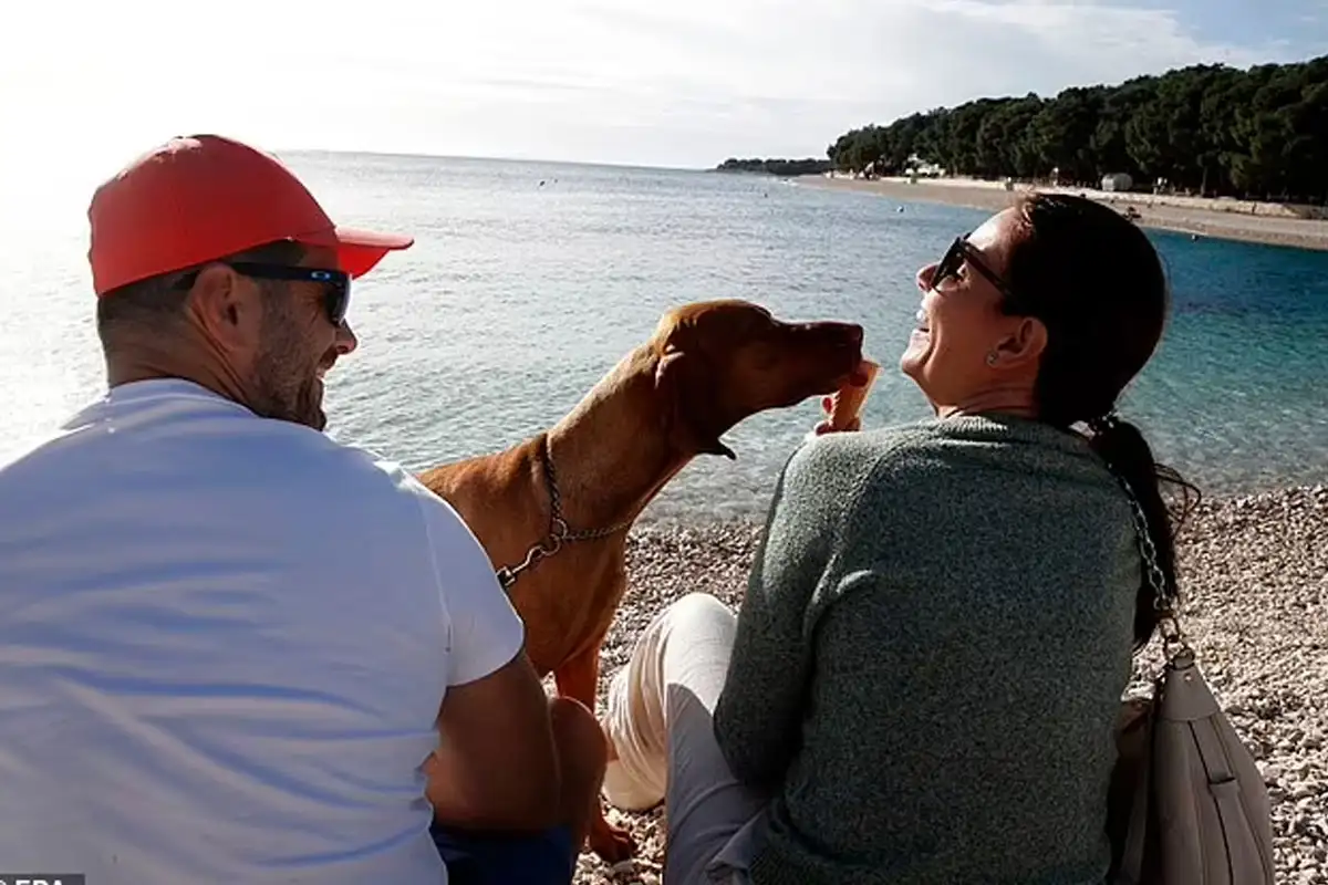 Dog Owners Warned: £1,000 Fines Loom as Beach Bans Begin in Britain