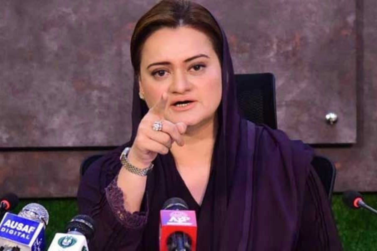 PMLN leader criticizes politics over canals, electricity price drop a miracle