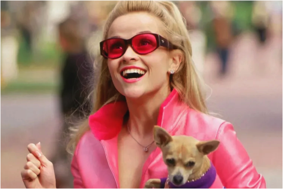 Who is Jessica Cauffiel? All About American Actress & Singer!