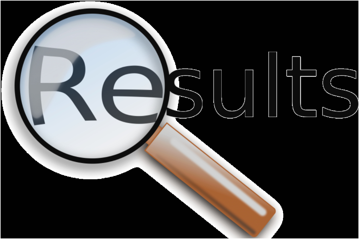 Punjab class 1 to 8 annual exams results 2025 – How to get Results?