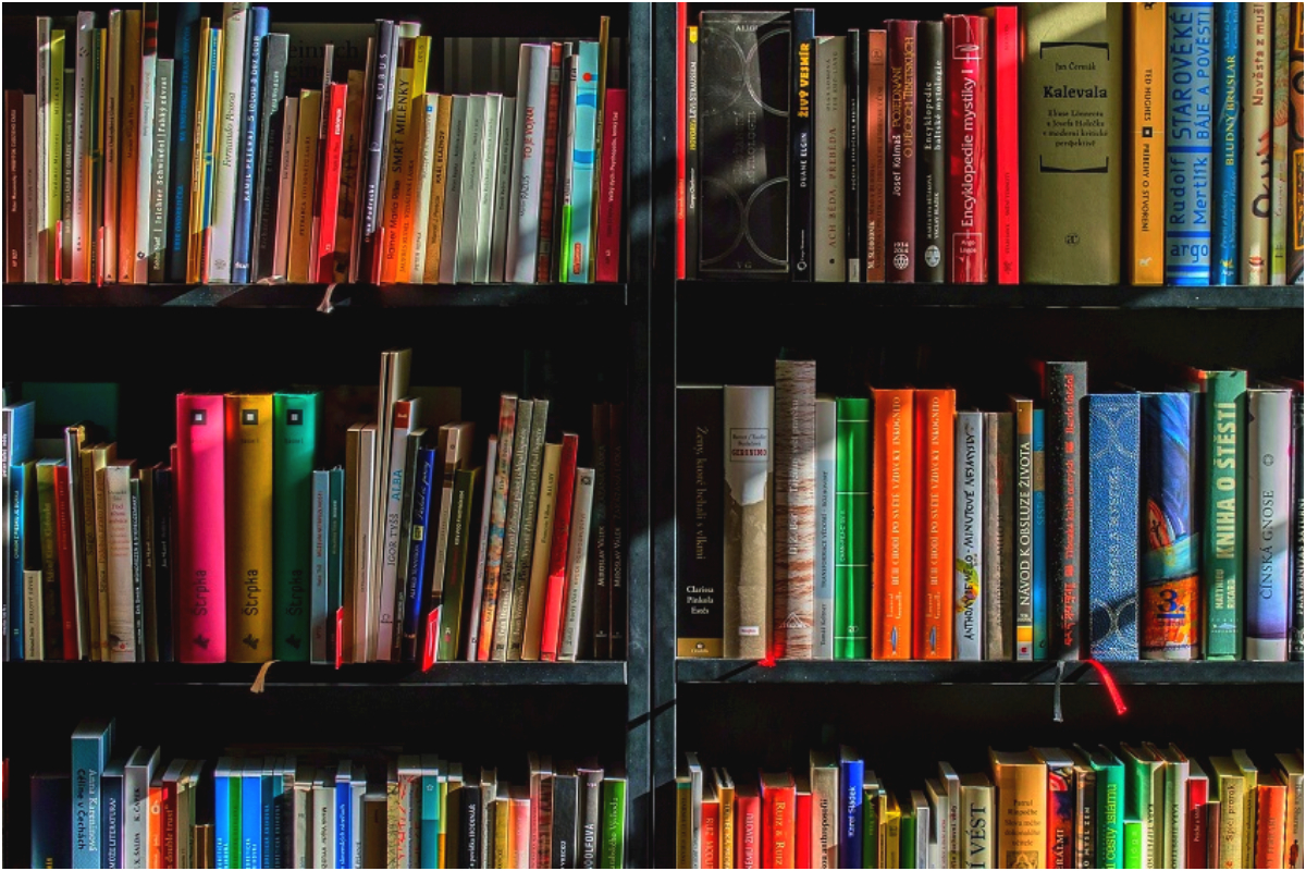 FDE Launches New Textbooks for Grades 1 to 5 in Islamabad Schools