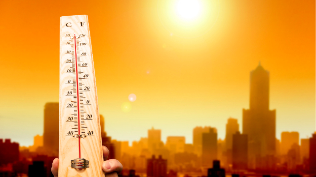 Heatwave Alert: PMD Predicts High Temperatures Till April 18 Across Several Regions in Pakistan