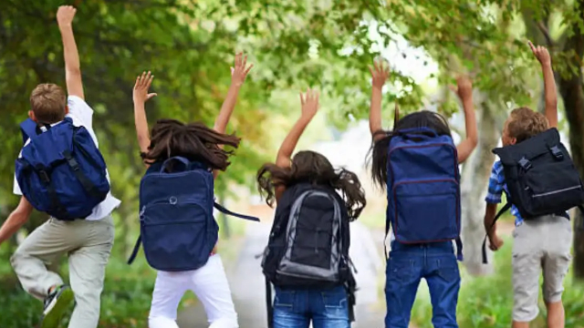 Early Summer Vacations announced for school students