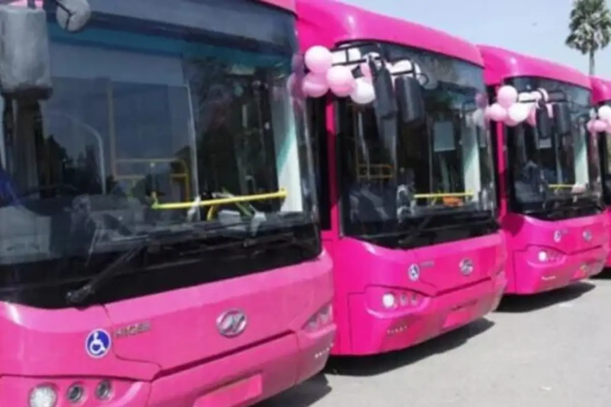 Sindh Launches New Pink Bus Route – Check Fares & More Detail