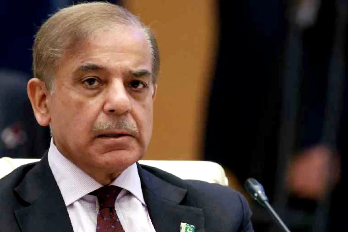 What is included in the Prime Minister welfare package for overseas Pakistanis?