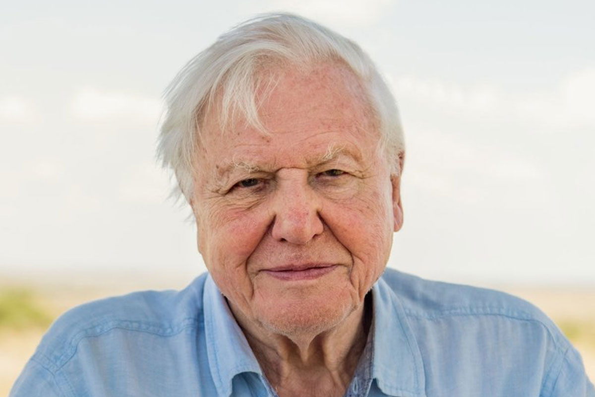 Who is David Attenborough? Biography, Net Worth & Wiki