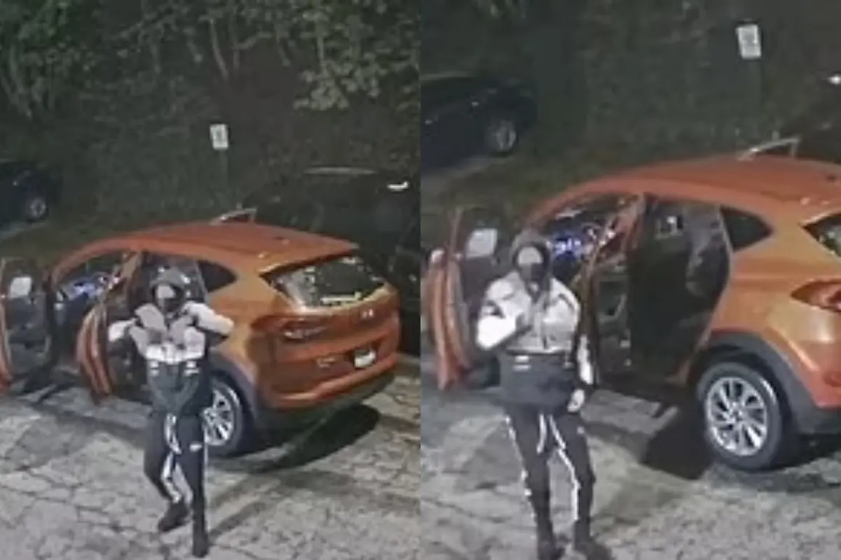 Olivia Vogler’s Security Camera Captures Thief Dancing Before Smashing Car Windows