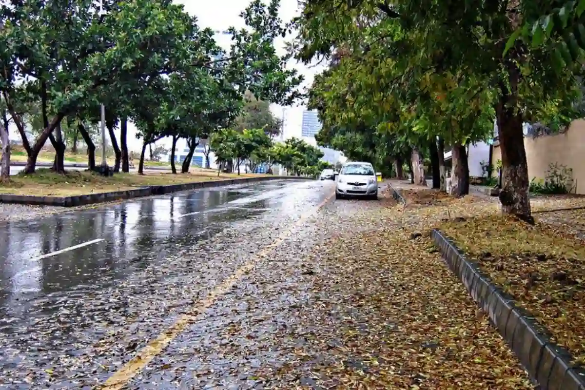 Islamabad Weather Update: Breezy Day with Thunderstorm Chances