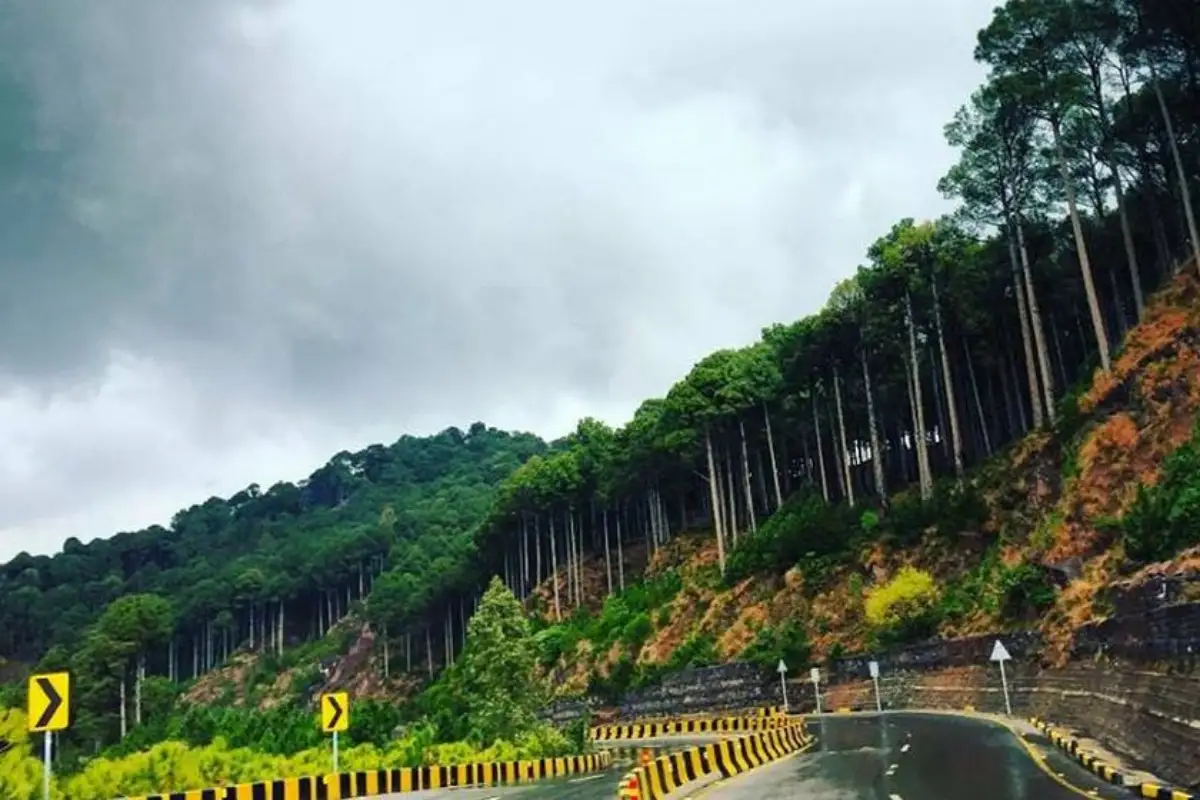 Murree Weather Update: Umbrellas Out, Jackets On