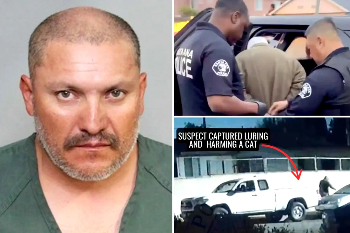 Santa Ana police arrest suspected serial cat killer