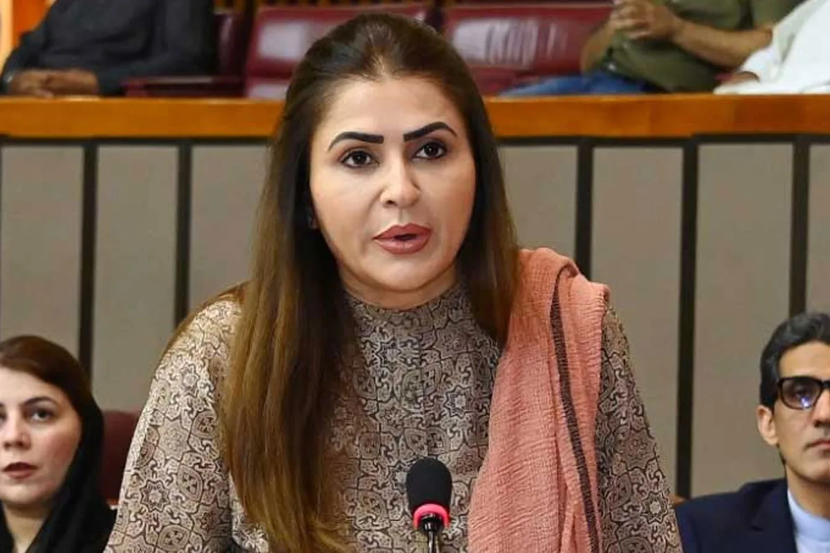 PPP says India is blaming Pakistan without any investigation or evidence