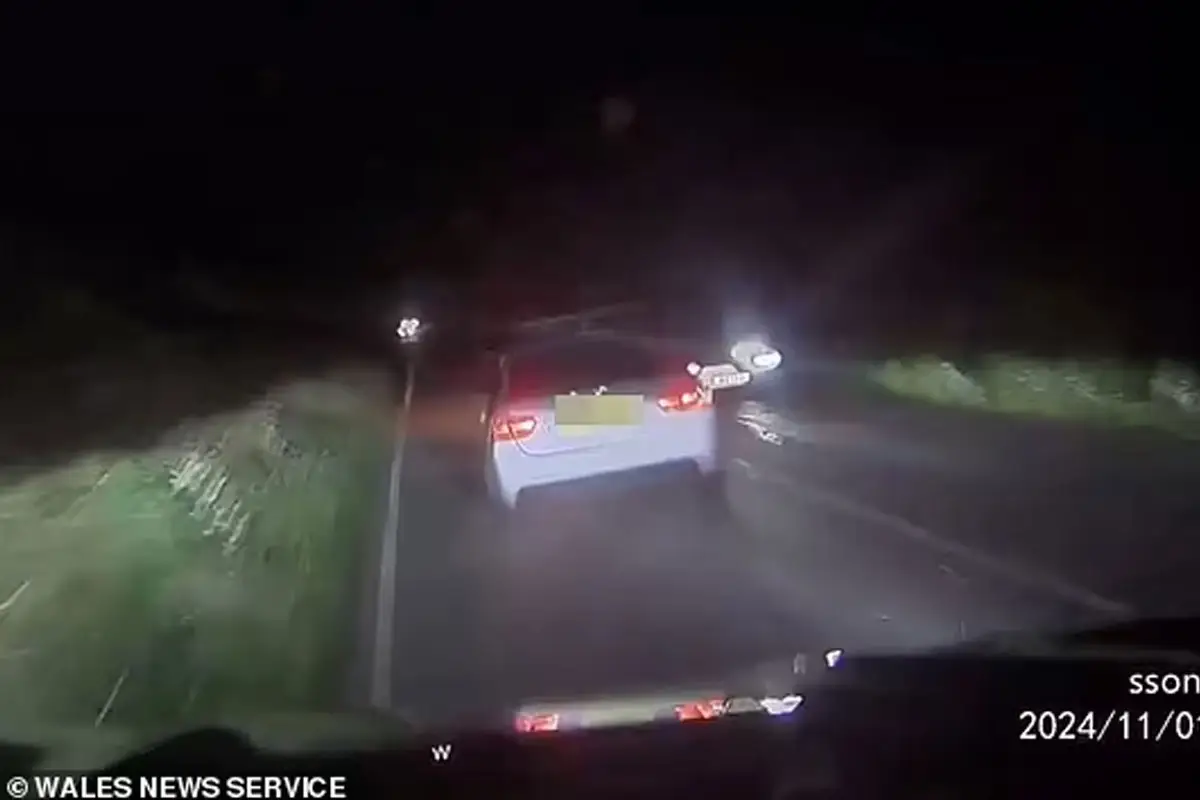 Kevin Roberts Admits Dangerous Driving After Targeting Estranged Wife Emma Roberts in Angered Car Collapse